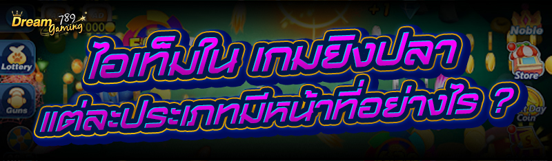 ไอเท็มใน เกมยิงปลา แต่ละประเภทมีหน้าที่อย่างไร ?